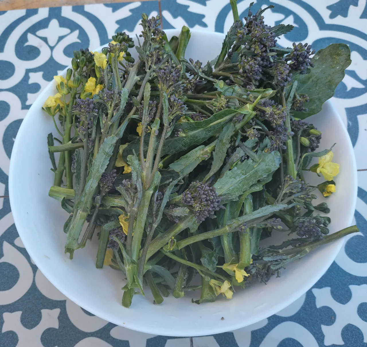 Purple sprouting broccoli with yellow flowers in a white bowl